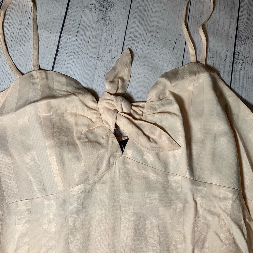 🔥SOLD🔥 Lulu’s Striped Satin Tie Front Tank Top Nude M, L - Picture 5 of 8